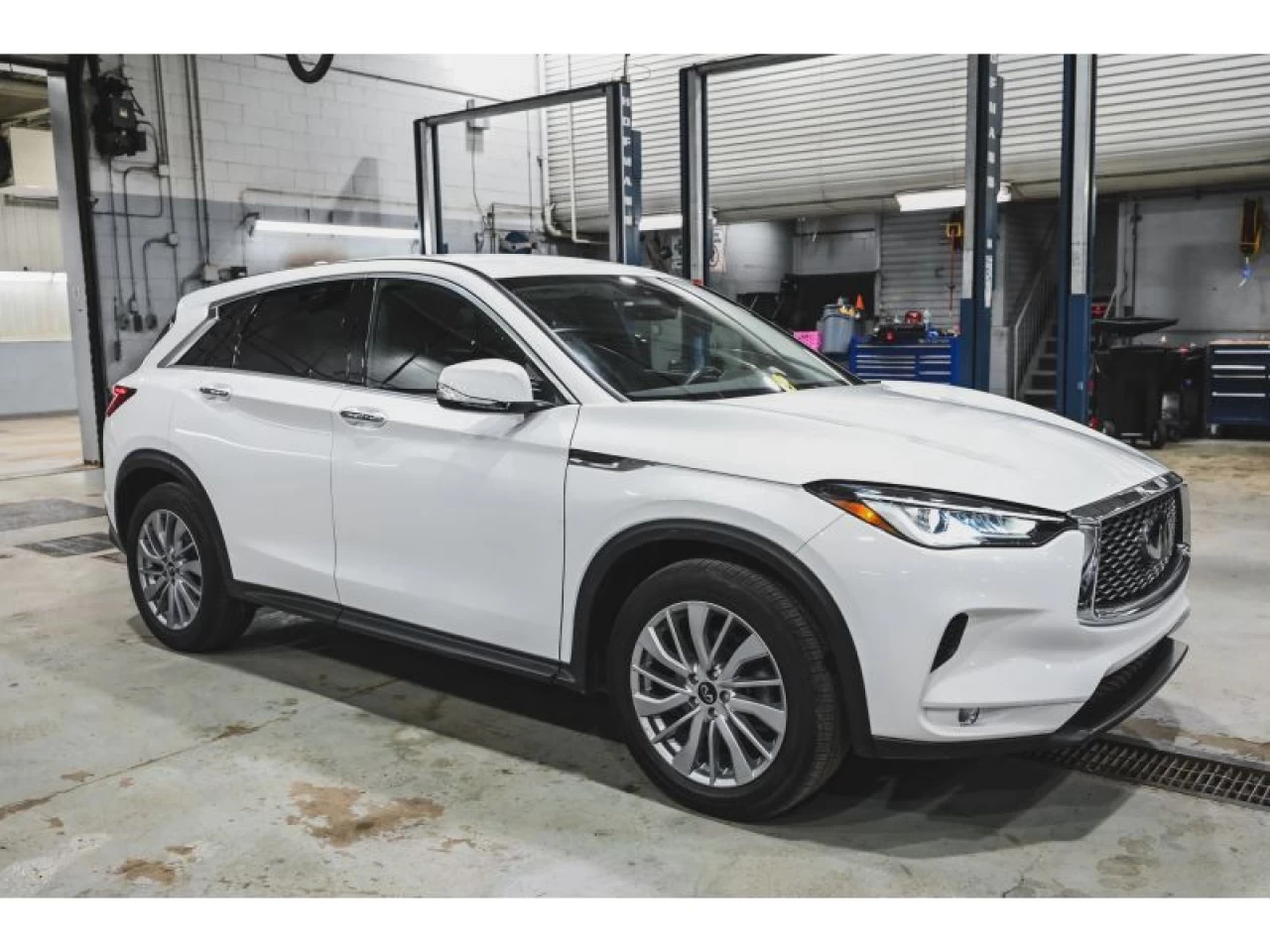 2024 Infiniti QX50 PURE AWD Main Image