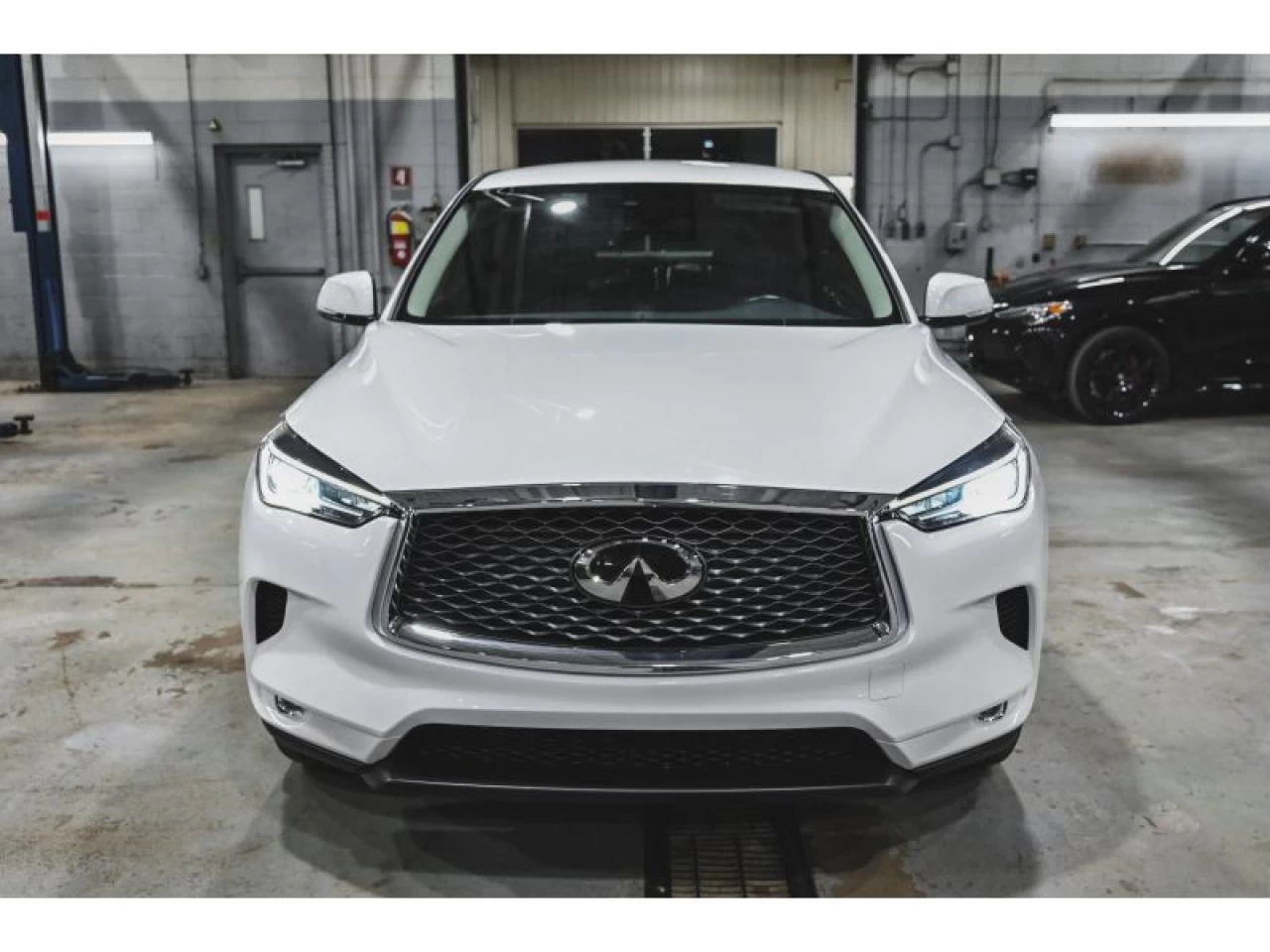 2024 Infiniti QX50 PURE AWD Main Image