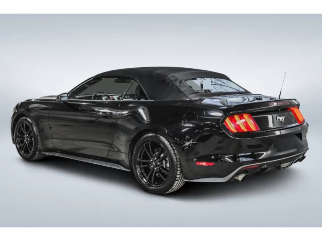 Ford Mustang 2dr Conv EcoBoost Premium 2015