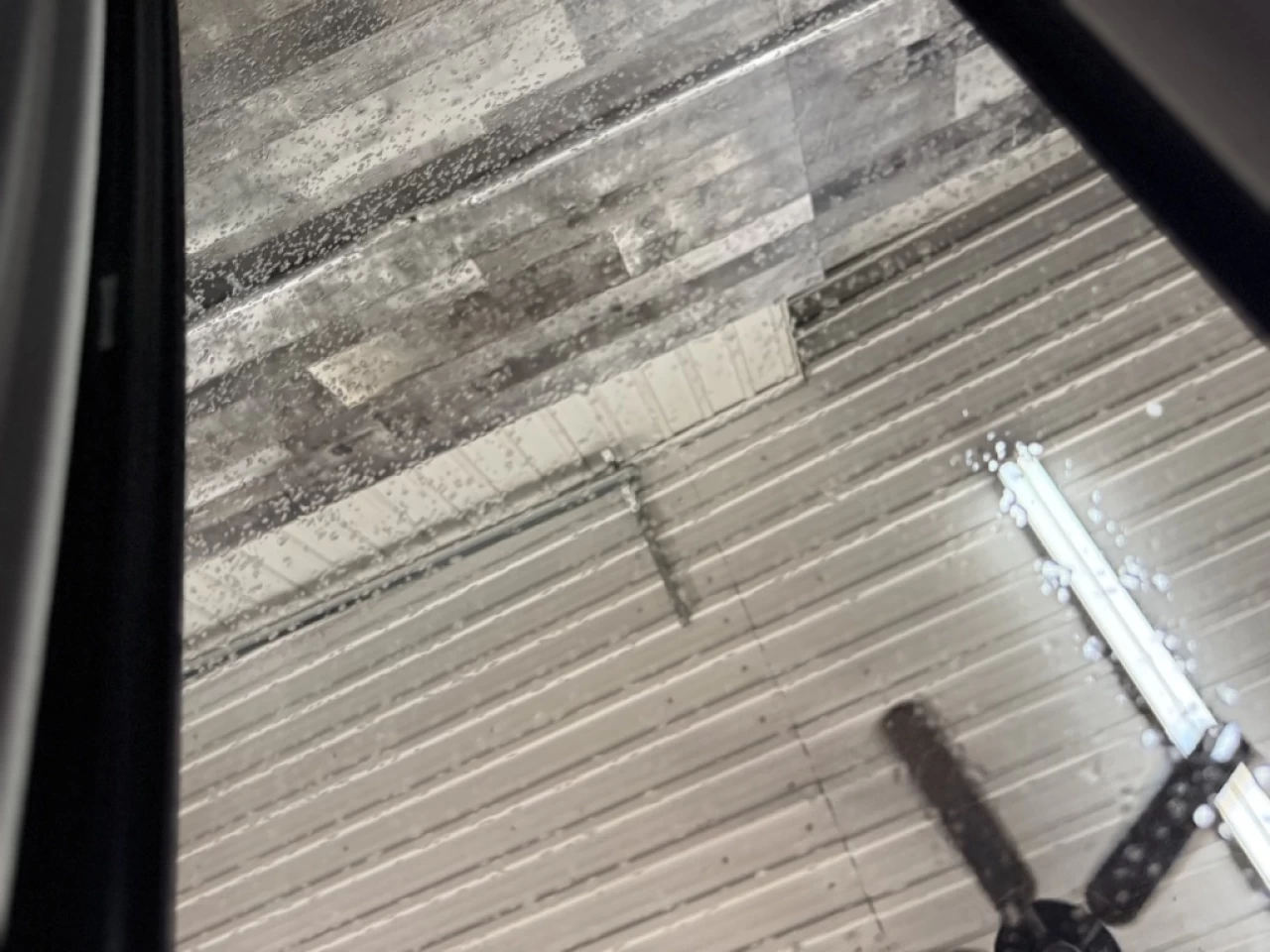 2019 Kia Niro EX HYBRID PLUG-IN CUIR TOIT **APPROUVÉ À 99.9%** Main Image